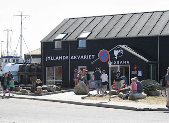 denmark/central-jutland/attraction/jyllandsakvariet