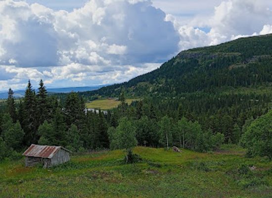 norway/oppland/attraction/flausetra