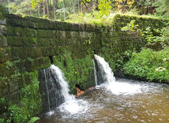 czechia/sumava-national-park/attraction/vyhlidka-amalino-udoli