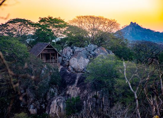 zimbabwe/manicaland/attraction/save-valley-conservancy