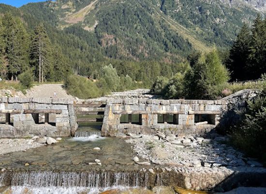 italy/alta-valtellina/attraction/parco-dell-adamello