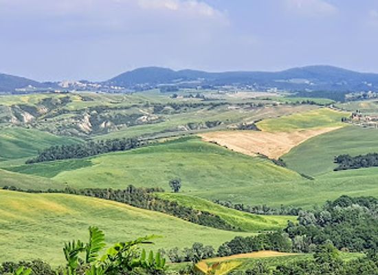 italy/monte-rosa/attraction/abbazia-di-monte-oliveto-maggiore