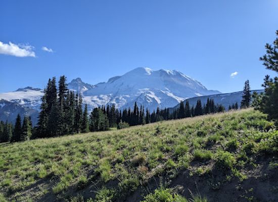 washington/mount-rainier-national-park/attraction/mount-fremont-lookout-trail