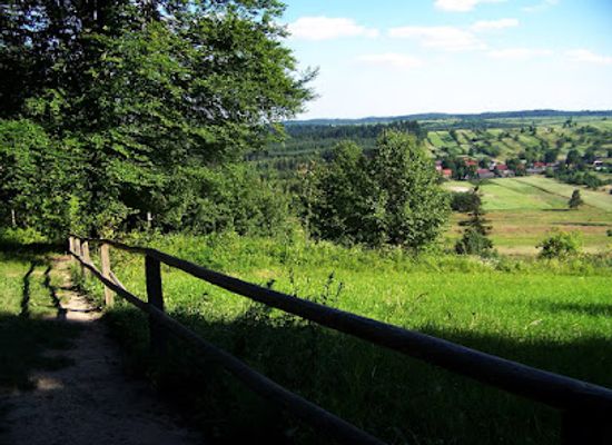 poland/roztocze-national-park/attraction/rezerwat-scisly-bukowa-gora-na-roztoczu