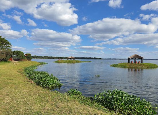 zimbabwe/zambezi-valley/attraction/kuimba-shiri-bird-park