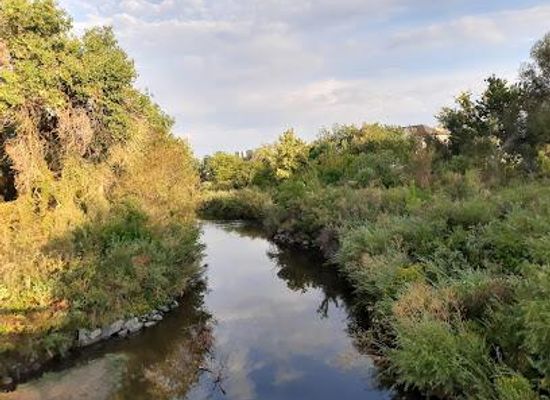 colorado/denver/attraction/cherry-creek-trl