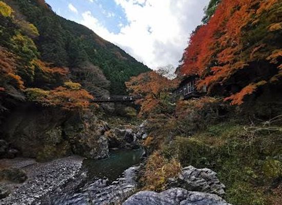 japan/yamanashi/attraction/hatonosu-canyon