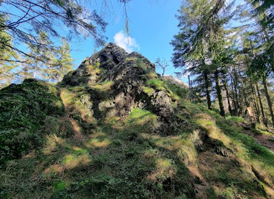 germany/thuringian-forest/attraction/seiffartsburg