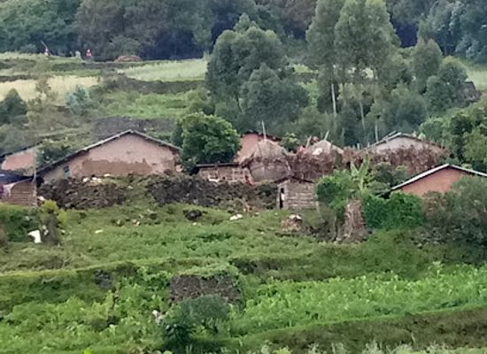 uganda/kigezi/attraction/mgahinga-gorilla-national-park