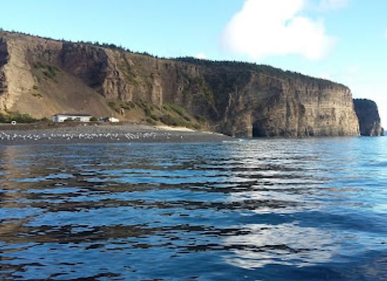 canada/avalon-peninsula/attraction/bell-island-ferry-disaster-memorial