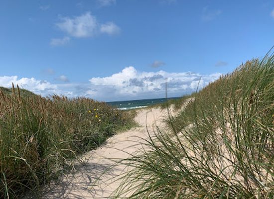 denmark/thy-national-park/attraction/bogsted-rende