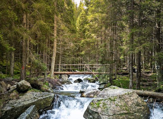 romania/retezat-national-park/attraction/cascadele-stanisoarei
