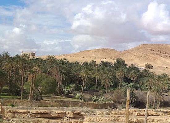 tunisia/the-djerid/attraction/mides-oasis