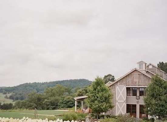 virginia/staunton/attraction/pippin-hill-farm-vineyards
