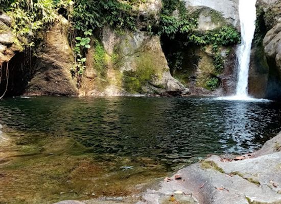 honduras/pico-bonito-national-park/attraction/tegucigalpita-ceiba