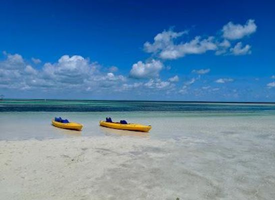 florida/key-west/attraction/lazy-dog-adventures