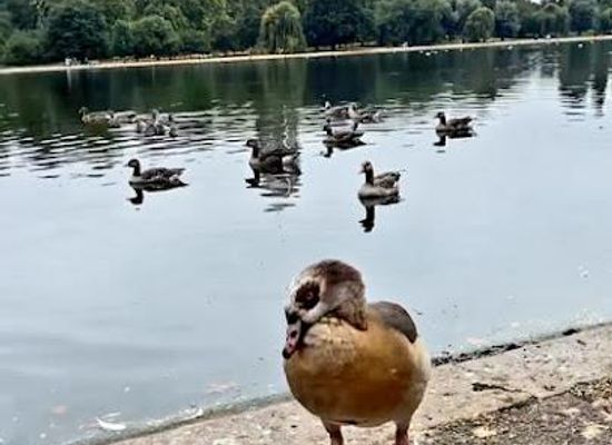 new-york/hudson-valley/attraction/hyde-park