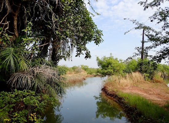 the-gambia/kanifing/attraction/farasutu-forest