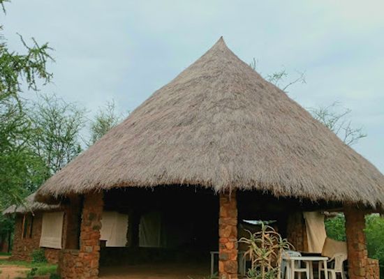 tanzania/masai-steppe/attraction/noloholo-environmental-center