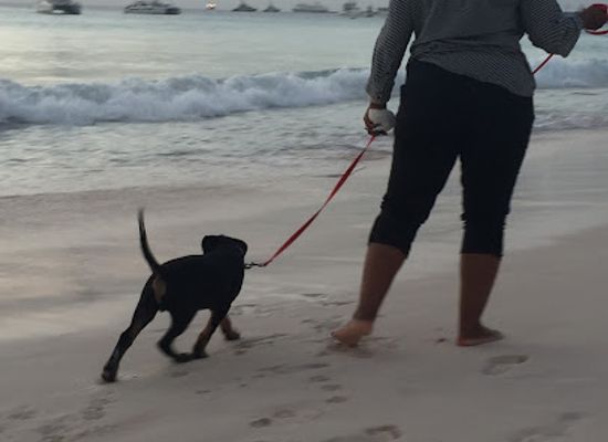 barbados/saint-michael/attraction/browne-s-beach-246