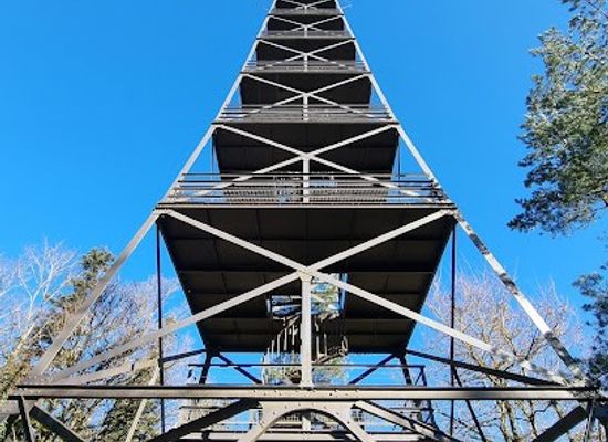 switzerland/zurich/attraction/aussichtsturm-pfannenstiel