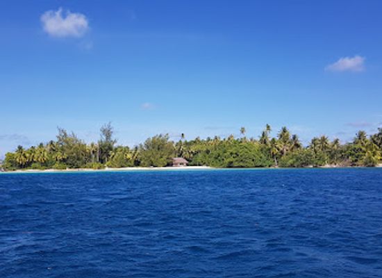 french-polynesia/society-islands/attraction/huahine-dream-tours