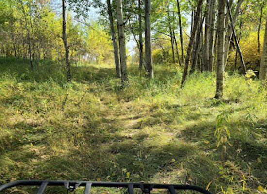north-dakota/turtle-mountains/attraction/homen-state-forest