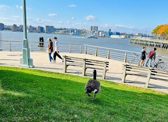 new-jersey/hoboken/attraction/hudson-river-park