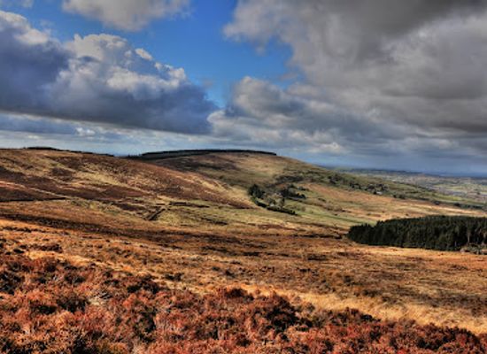ireland/wicklow-mountains/attraction/lacken-hill