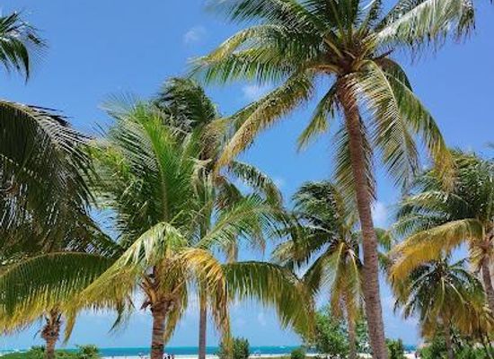 mexico/cancun/attraction/playa-langosta