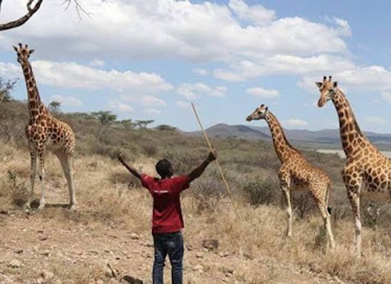 kenya/lake-bogoria/attraction/sarken-water-spring