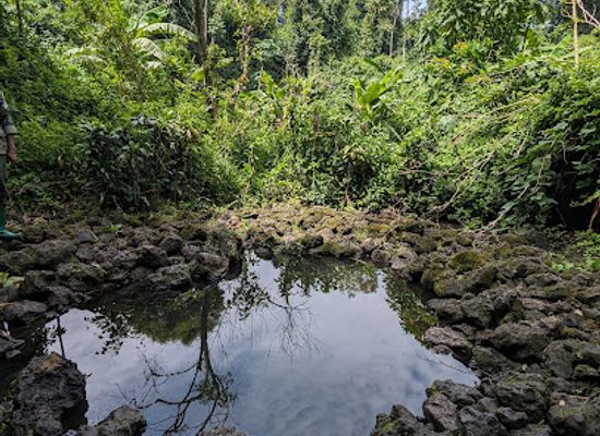 rwanda/karisimbi-volcano/attraction/buhanga-eco-park