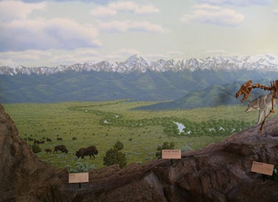 new-mexico/manzano-mountains/attraction/new-mexico-museum-of-natural-history-and-science