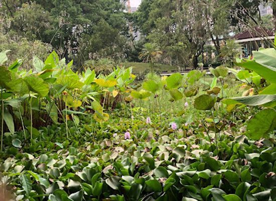 singapore/novena/attraction/turtle-spot