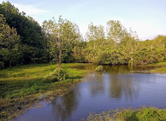 kentucky/henderson/attraction/audubon-wetlands-trail