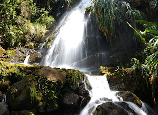 guatemala/verapaces/attraction/biotopo-del-quetzal