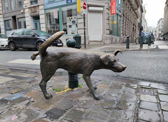 belgium/zenne-valley/attraction/zinneke-pis