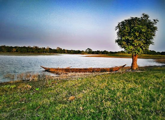 india/northern-plains/attraction/laokhowa-wildlife-sanctuary