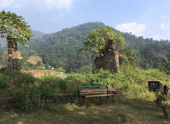 bhutan/dagana/attraction/buxa-forest
