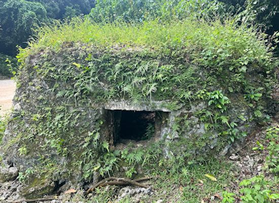 palau/peleliu/attraction/japanese-pillbox