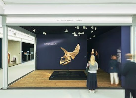 united-kingdom/london/attraction/david-aaron-art-gallery