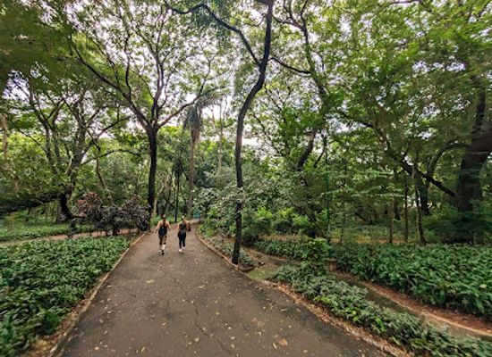 paraguay/asuncion/attraction/health-s-park
