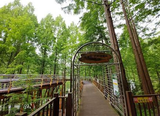 south-korea/daejeon/attraction/jangtaesan-recreational-forest