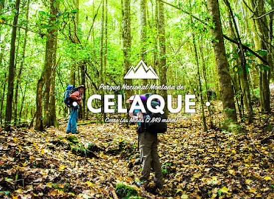 honduras/lempira-region/attraction/parque-nacional-celaque