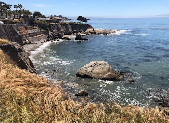 california/central-coast/attraction/memory-park