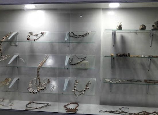 colombia/sincelejo/attraction/museo-universitario-finzenu