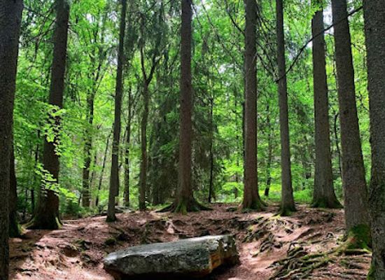 belgium/pays-de-herve/attraction/dolmen-de-solwaster