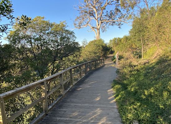 australia/gippsland/attraction/mitchell-river-walk