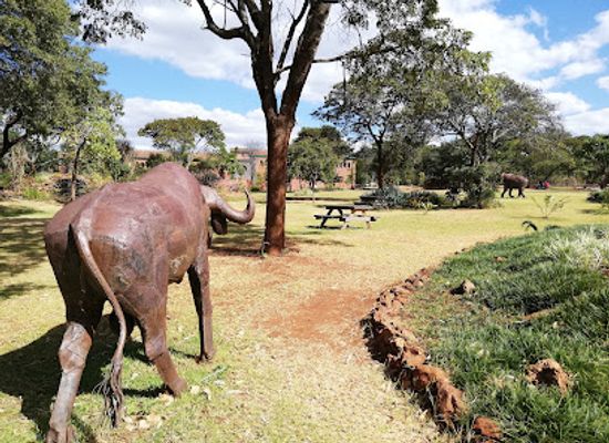 zimbabwe/lowveld/attraction/harare-botanical-gardens