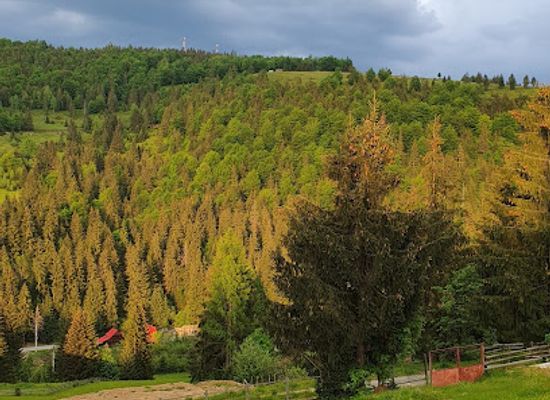 romania/bihor-mountains/attraction/wildglampingarieseni